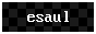 [esaul]