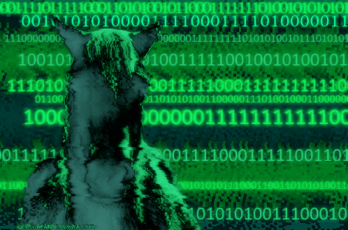 https://port22.exposed